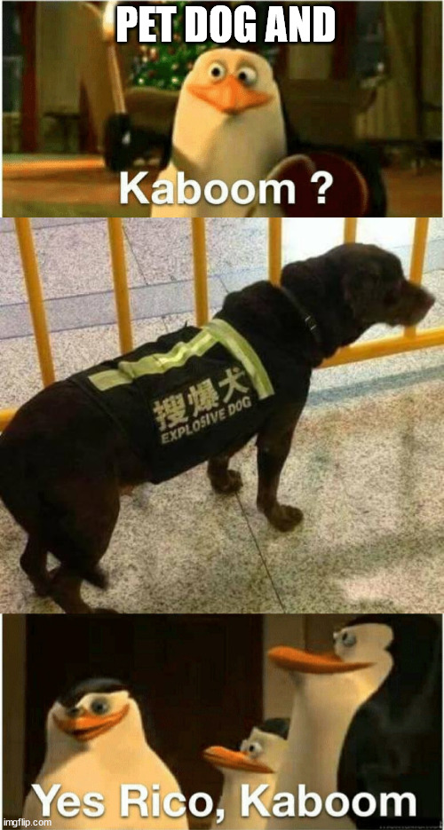 Careful petting this dog, it just might blow up on you |  PET DOG AND; ........... | image tagged in kaboom yes rico kaboom,dogs,explosion,petting,be careful,caution sign | made w/ Imgflip meme maker