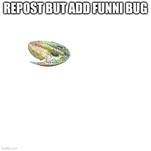 hbiiiibjbj | REPOST BUT ADD FUNNI BUG | made w/ Imgflip meme maker