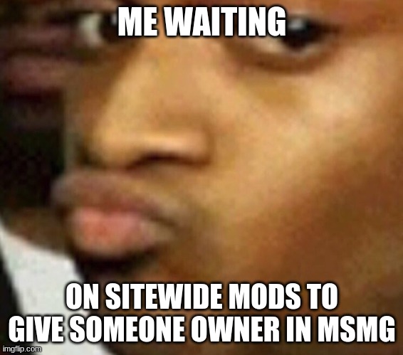 doubtful lips  | ME WAITING; ON SITEWIDE MODS TO GIVE SOMEONE OWNER IN MSMG | image tagged in doubtful lips | made w/ Imgflip meme maker