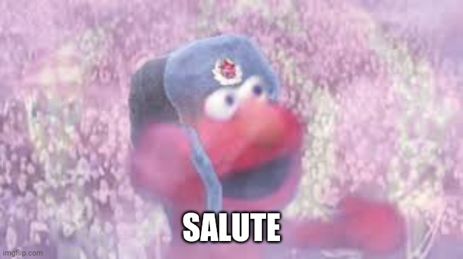 comrade elmo | SALUTE | image tagged in comrade elmo | made w/ Imgflip meme maker