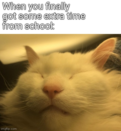 Ngl it feels like a dream | When you finally
got some extra time 
from school: | image tagged in sleeping cat | made w/ Imgflip meme maker