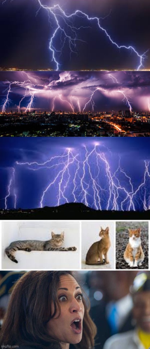 Thunder, thunder, thunder-cats!! | image tagged in kamala harriss | made w/ Imgflip meme maker