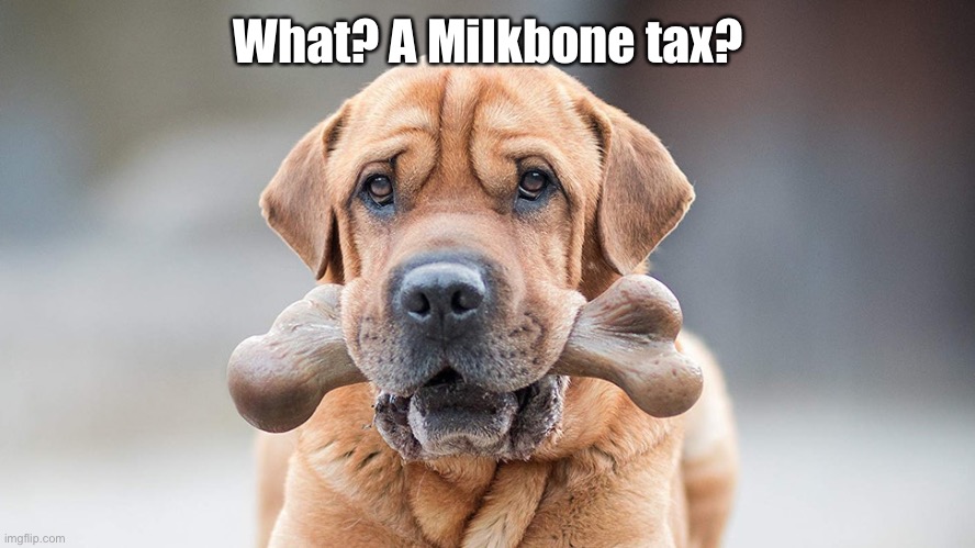 Dog with a bone | What? A Milkbone tax? | image tagged in dog with a bone | made w/ Imgflip meme maker