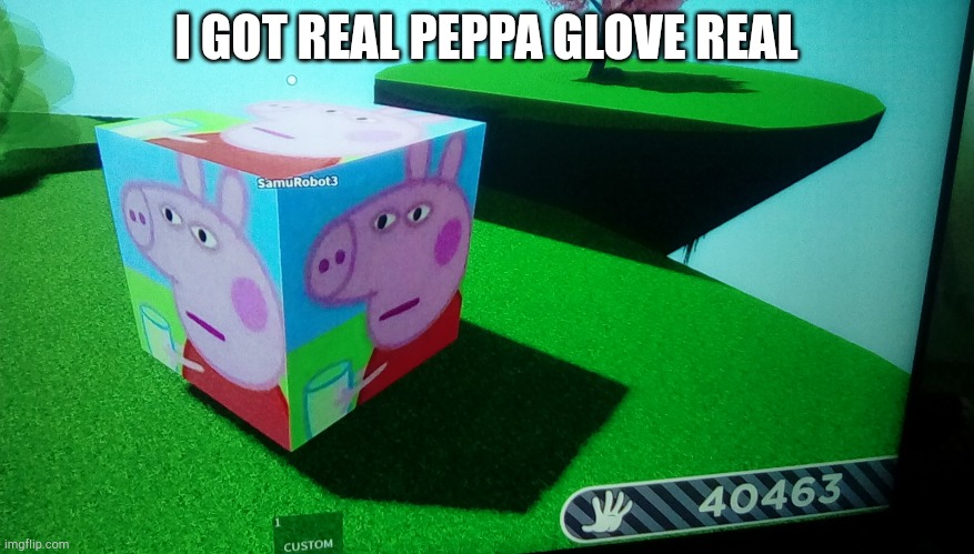 (this is a joke, I used custom) | I GOT REAL PEPPA GLOVE REAL | image tagged in peppa glove | made w/ Imgflip meme maker