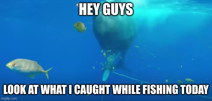 :D :D :D :D :D :D :D :D :D :D | HEY GUYS; LOOK AT WHAT I CAUGHT WHILE FISHING TODAY | image tagged in fishing,whale | made w/ Imgflip meme maker