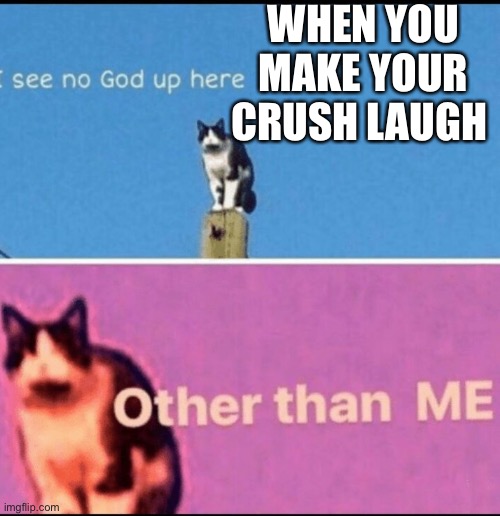 True | WHEN YOU MAKE YOUR CRUSH LAUGH | image tagged in i see no god up here other than me,funny memes,cool,change my mind,nice,fun stream | made w/ Imgflip meme maker
