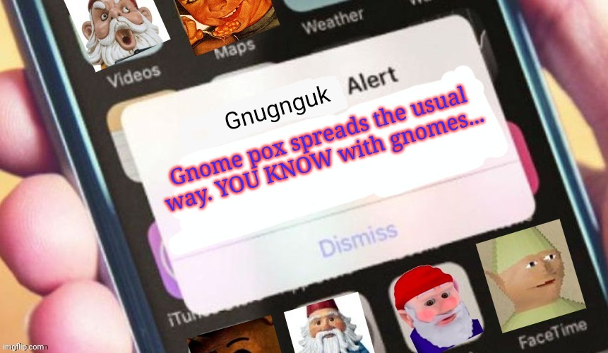 Gnome alert | Gnome pox spreads the usual way. YOU KNOW with gnomes... | image tagged in gnome alert | made w/ Imgflip meme maker