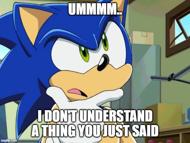 when I read something that makes no sense | UMMMM.. I DON'T UNDERSTAND A THING YOU JUST SAID | image tagged in sonic confused,sonic the hedgehog,confused,funny memes,memes,funny | made w/ Imgflip meme maker