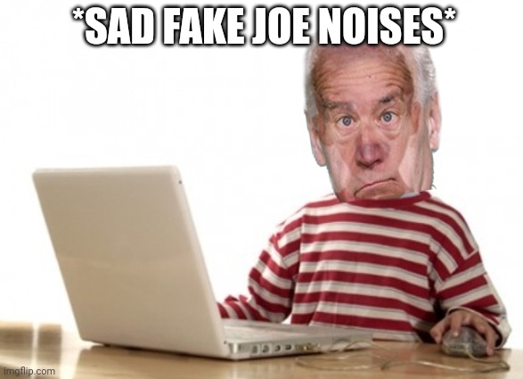 Little Boy At Computer | *SAD FAKE JOE NOISES* | image tagged in little boy at computer | made w/ Imgflip meme maker