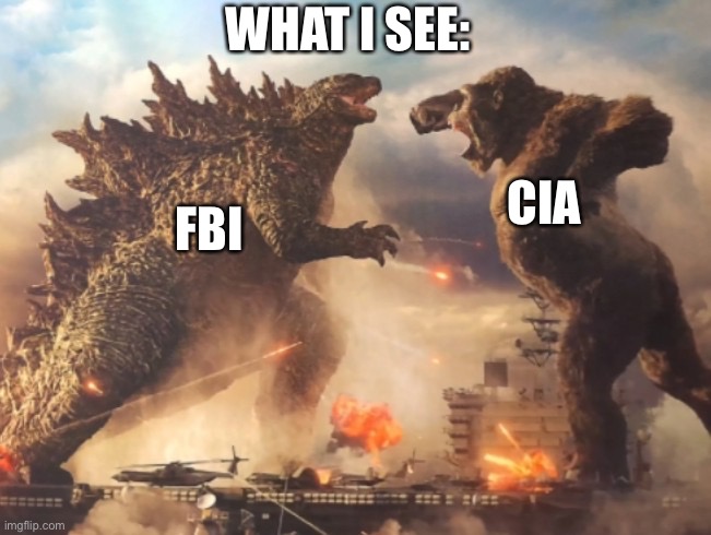 Godzilla VS. kong | CIA FBI WHAT I SEE: | image tagged in godzilla vs kong | made w/ Imgflip meme maker