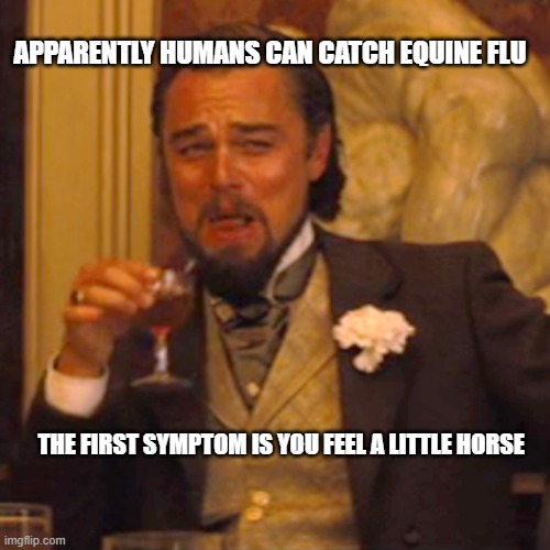 Laughing Leo Meme | APPARENTLY HUMANS CAN CATCH EQUINE FLU; THE FIRST SYMPTOM IS YOU FEEL A LITTLE HORSE | image tagged in memes,laughing leo | made w/ Imgflip meme maker