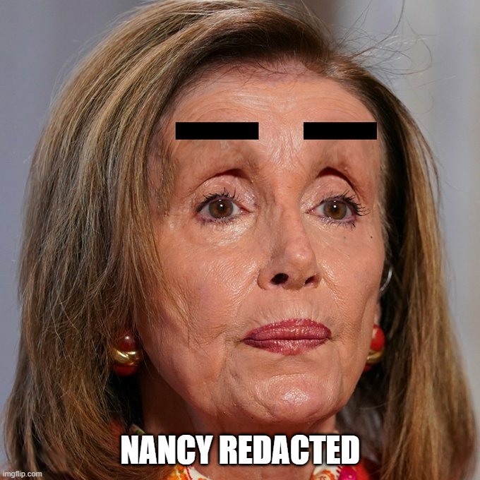 NANCY REDACTED | image tagged in nancy pelosi,democrats,biden,fbi,doj,government corruption | made w/ Imgflip meme maker