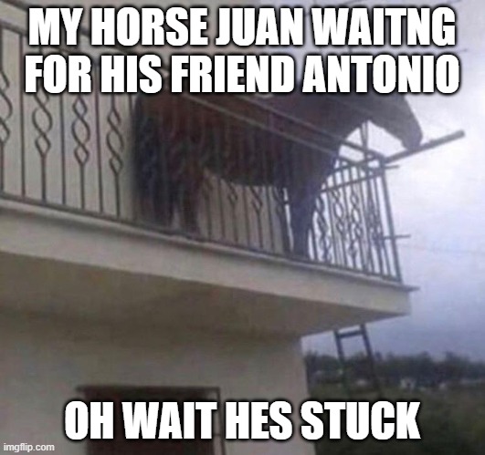 Use repost stream if you run out of submissions | MY HORSE JUAN WAITNG FOR HIS FRIEND ANTONIO; OH WAIT HES STUCK | image tagged in juan,not a repost | made w/ Imgflip meme maker