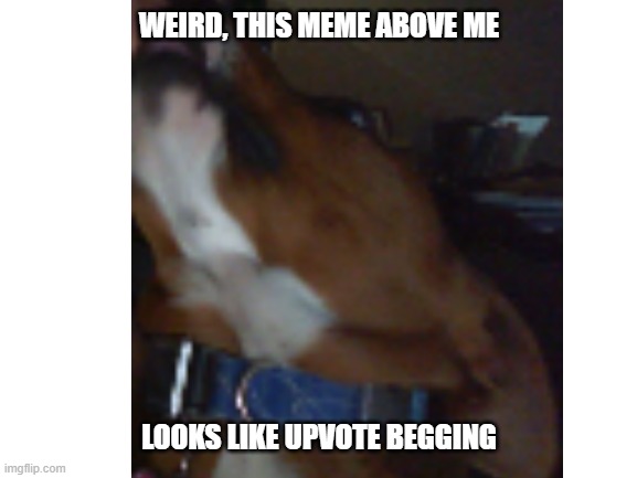 WEIRD, THIS MEME ABOVE ME LOOKS LIKE UPVOTE BEGGING | made w/ Imgflip meme maker