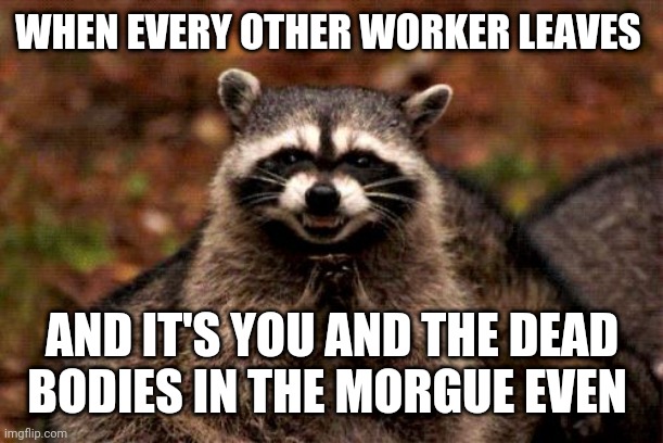 Evil Plotting Raccoon Meme | WHEN EVERY OTHER WORKER LEAVES; AND IT'S YOU AND THE DEAD BODIES IN THE MORGUE EVEN | image tagged in memes,evil plotting raccoon | made w/ Imgflip meme maker
