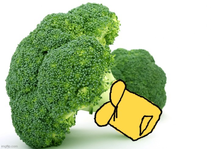 Broccoli Or Something | image tagged in broccoli or something | made w/ Imgflip meme maker