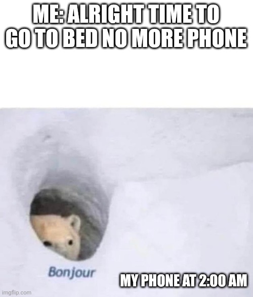 And then I have school in the morning | ME: ALRIGHT TIME TO GO TO BED NO MORE PHONE; MY PHONE AT 2:00 AM | image tagged in bonjour | made w/ Imgflip meme maker