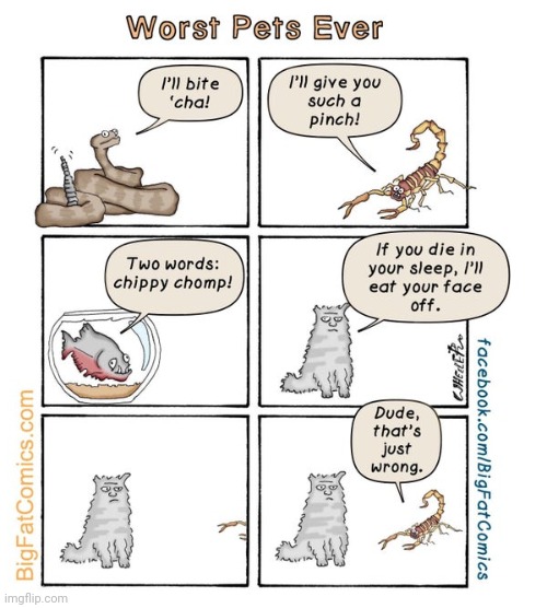 Pets | image tagged in pets,pet,comics,comics/cartoons,comic,animals | made w/ Imgflip meme maker