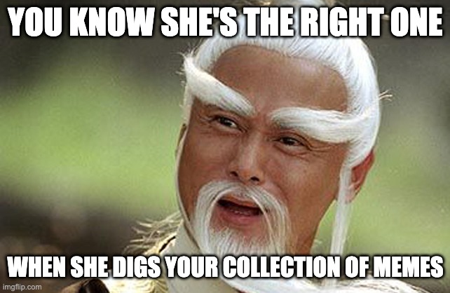 The right one | YOU KNOW SHE'S THE RIGHT ONE; WHEN SHE DIGS YOUR COLLECTION OF MEMES | image tagged in wise man is impressed,meme collection,meme,memedonna | made w/ Imgflip meme maker