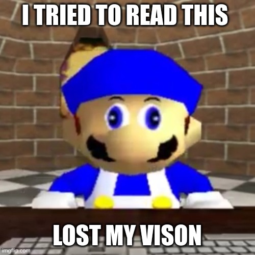 Smg4 derp | I TRIED TO READ THIS LOST MY VISON | image tagged in smg4 derp | made w/ Imgflip meme maker