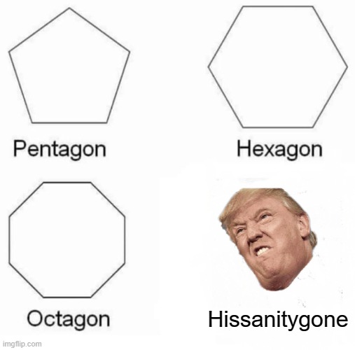 Pentagon Hexagon Octagon Meme | Hissanitygone | image tagged in memes,pentagon hexagon octagon | made w/ Imgflip meme maker