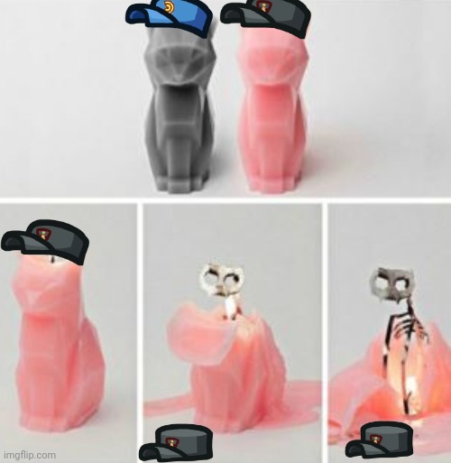 Melting Cats | image tagged in melting cats | made w/ Imgflip meme maker