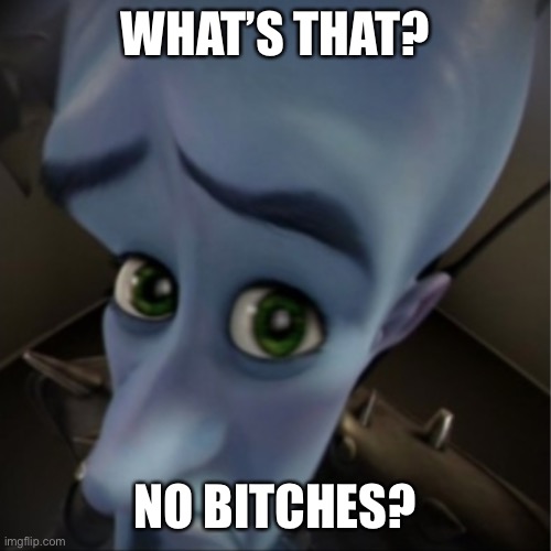 Megamind peeking | WHAT’S THAT? NO BITCHES? | image tagged in megamind peeking | made w/ Imgflip meme maker