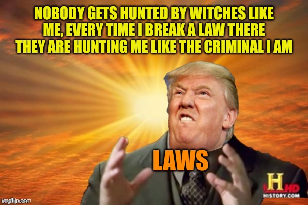 Donnie isn't a smart man | NOBODY GETS HUNTED BY WITCHES LIKE ME, EVERY TIME I BREAK A LAW THERE THEY ARE HUNTING ME LIKE THE CRIMINAL I AM; LAWS | image tagged in trump ancient aliens | made w/ Imgflip meme maker