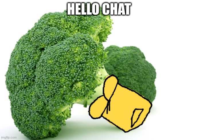 Broccoli Or Something | HELLO CHAT | image tagged in broccoli or something | made w/ Imgflip meme maker