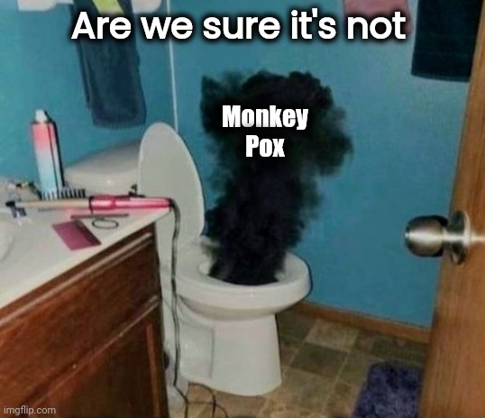 Turdburglar | Are we sure it's not Monkey
      Pox | image tagged in turdburglar | made w/ Imgflip meme maker
