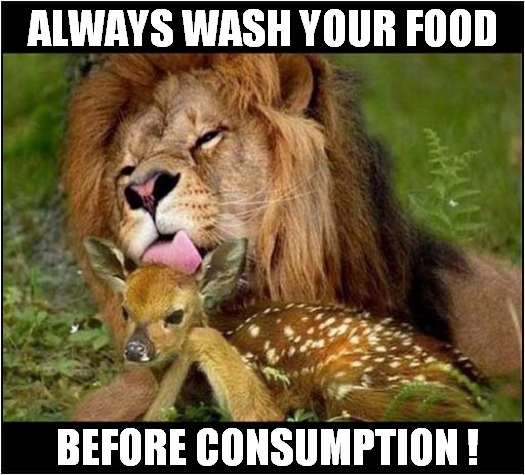 A Lions Hygiene Tip ! | ALWAYS WASH YOUR FOOD; BEFORE CONSUMPTION ! | image tagged in fun,hygiene,food | made w/ Imgflip meme maker
