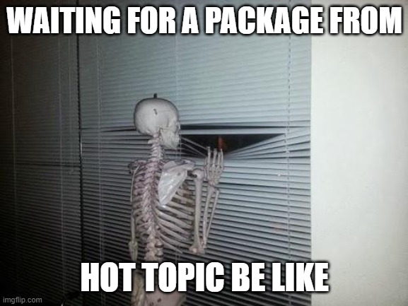 God, Come One With The Order Already. Take Forever. | WAITING FOR A PACKAGE FROM; HOT TOPIC BE LIKE | image tagged in skeleton looking out window,hot topic,waiting for package,package,snail mail | made w/ Imgflip meme maker