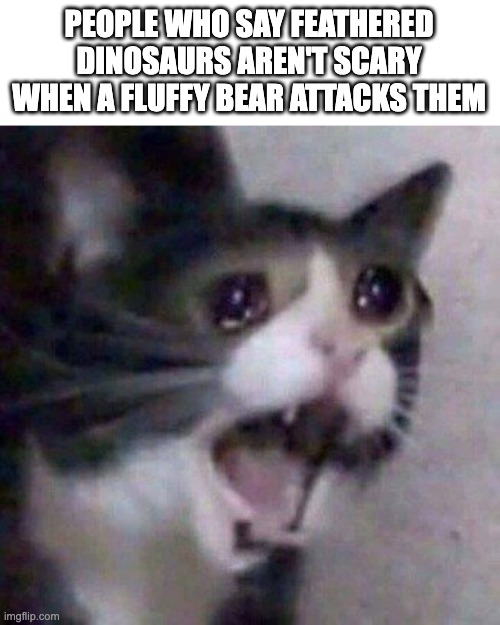 Just because a Trex has feathers it isn't scary? | PEOPLE WHO SAY FEATHERED DINOSAURS AREN'T SCARY WHEN A FLUFFY BEAR ATTACKS THEM | image tagged in screaming cat meme | made w/ Imgflip meme maker