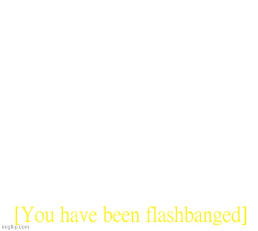 you have been flashbanged | image tagged in you have been flashbanged | made w/ Imgflip meme maker