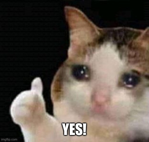 sad thumbs up cat | YES! | image tagged in sad thumbs up cat | made w/ Imgflip meme maker
