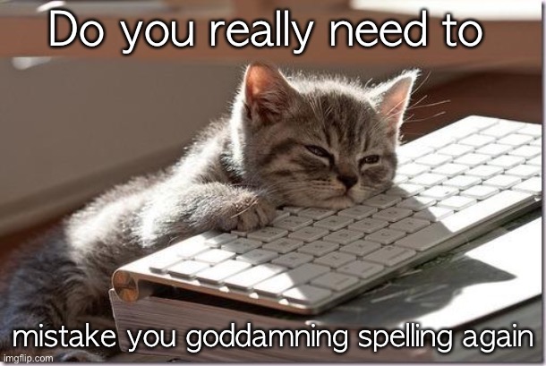 Bored Keyboard Cat | Do you really need to mistake you goddamning spelling again | image tagged in bored keyboard cat | made w/ Imgflip meme maker