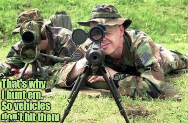 United States Air Force Sniper Team | That's why I hunt em. So vehicles don't hit them | image tagged in united states air force sniper team | made w/ Imgflip meme maker