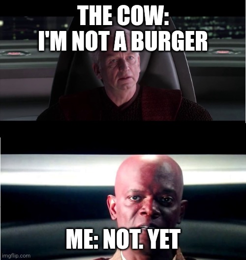 I am the Senate - Not yet | THE COW: I'M NOT A BURGER ME: NOT. YET | image tagged in i am the senate - not yet | made w/ Imgflip meme maker