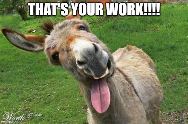 That's your work! | THAT'S YOUR WORK!!!! | image tagged in laughing donkey | made w/ Imgflip meme maker