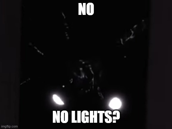 no lights? | NO; NO LIGHTS? | image tagged in doors,roblox,screech,no bitches,megamind no bitches | made w/ Imgflip meme maker