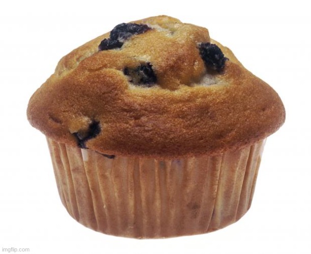 muffin! | image tagged in popular opinion muffin,muffin,memes,funny,random,yeet | made w/ Imgflip meme maker