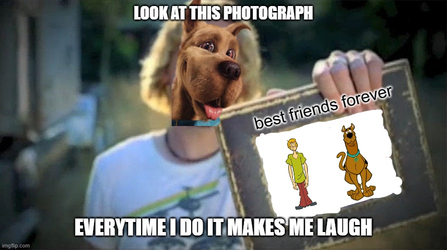 how would the next scooby doo movie look like? |  LOOK AT THIS PHOTOGRAPH; best friends forever; EVERYTIME I DO IT MAKES ME LAUGH | image tagged in look at this photograph blank,scooby doo,nickelback | made w/ Imgflip meme maker