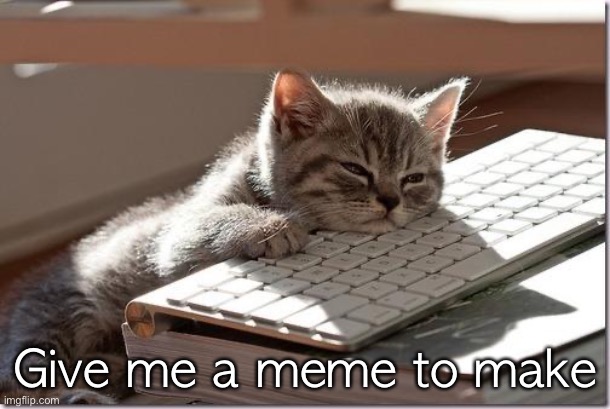 Bored Keyboard Cat | Give me a meme to make | image tagged in bored keyboard cat | made w/ Imgflip meme maker