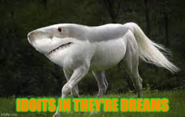 what | IDOITS IN THEY'RE DREAMS | image tagged in funny memes | made w/ Imgflip meme maker
