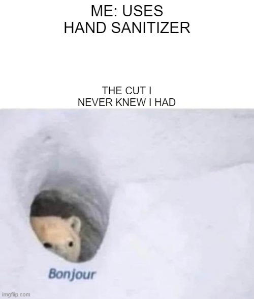 it really burns. | ME: USES HAND SANITIZER; THE CUT I NEVER KNEW I HAD | image tagged in bonjour | made w/ Imgflip meme maker