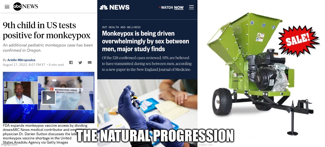 Natural Progression | THE NATURAL PROGRESSION | image tagged in pedophiles,monkeypox,lgbtq,wood chipper go brrr | made w/ Imgflip meme maker