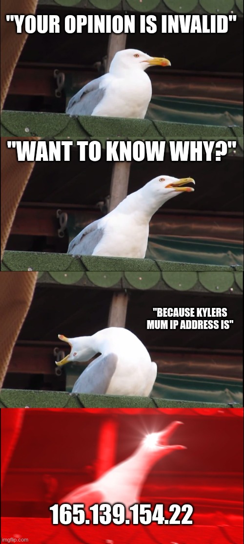 SUS | "YOUR OPINION IS INVALID"; "WANT TO KNOW WHY?"; "BECAUSE KYLERS MUM IP ADDRESS IS"; 165.139.154.22 | image tagged in memes,inhaling seagull | made w/ Imgflip meme maker