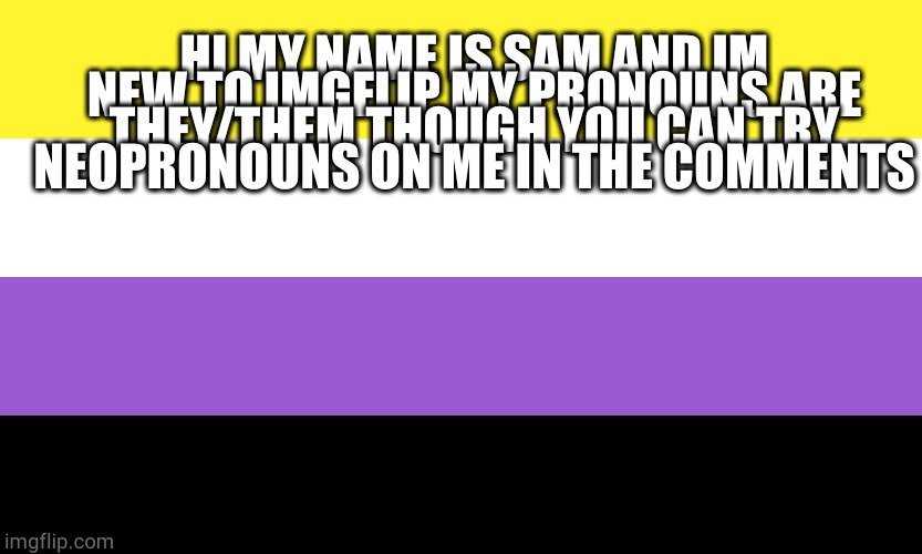 Nonbinary | HI MY NAME IS SAM AND IM NEW TO IMGFLIP MY PRONOUNS ARE THEY/THEM THOUGH YOU CAN TRY NEOPRONOUNS ON ME IN THE COMMENTS | image tagged in nonbinary | made w/ Imgflip meme maker