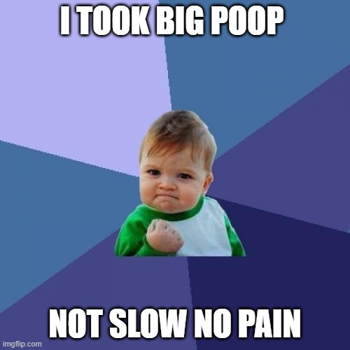 Success Kid | I TOOK BIG POOP; NOT SLOW NO PAIN | image tagged in memes,success kid | made w/ Imgflip meme maker