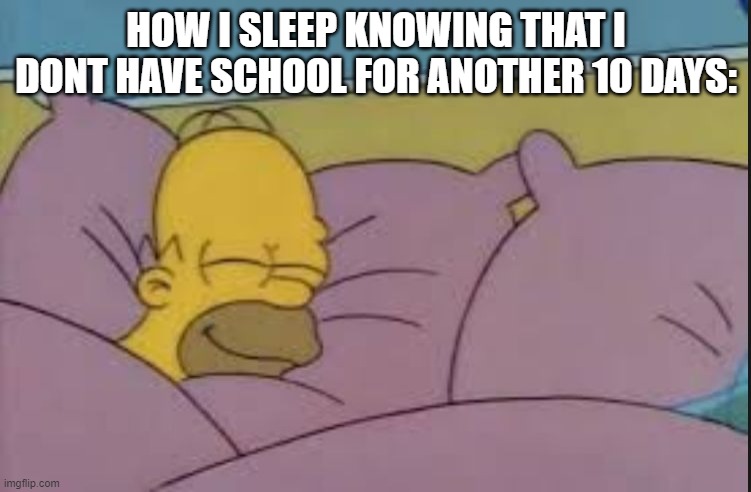 lol i dont have school yet |  HOW I SLEEP KNOWING THAT I DONT HAVE SCHOOL FOR ANOTHER 10 DAYS: | image tagged in how i sleep homer simpson | made w/ Imgflip meme maker